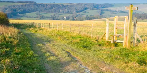 An image depicting the trail Jevington - Lullington Heath National Nature Reserve and Litlington and its surrounding area.