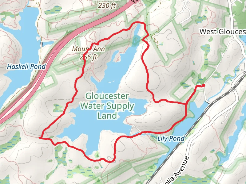 Mount Ann and Dykes Pond Loop Trail