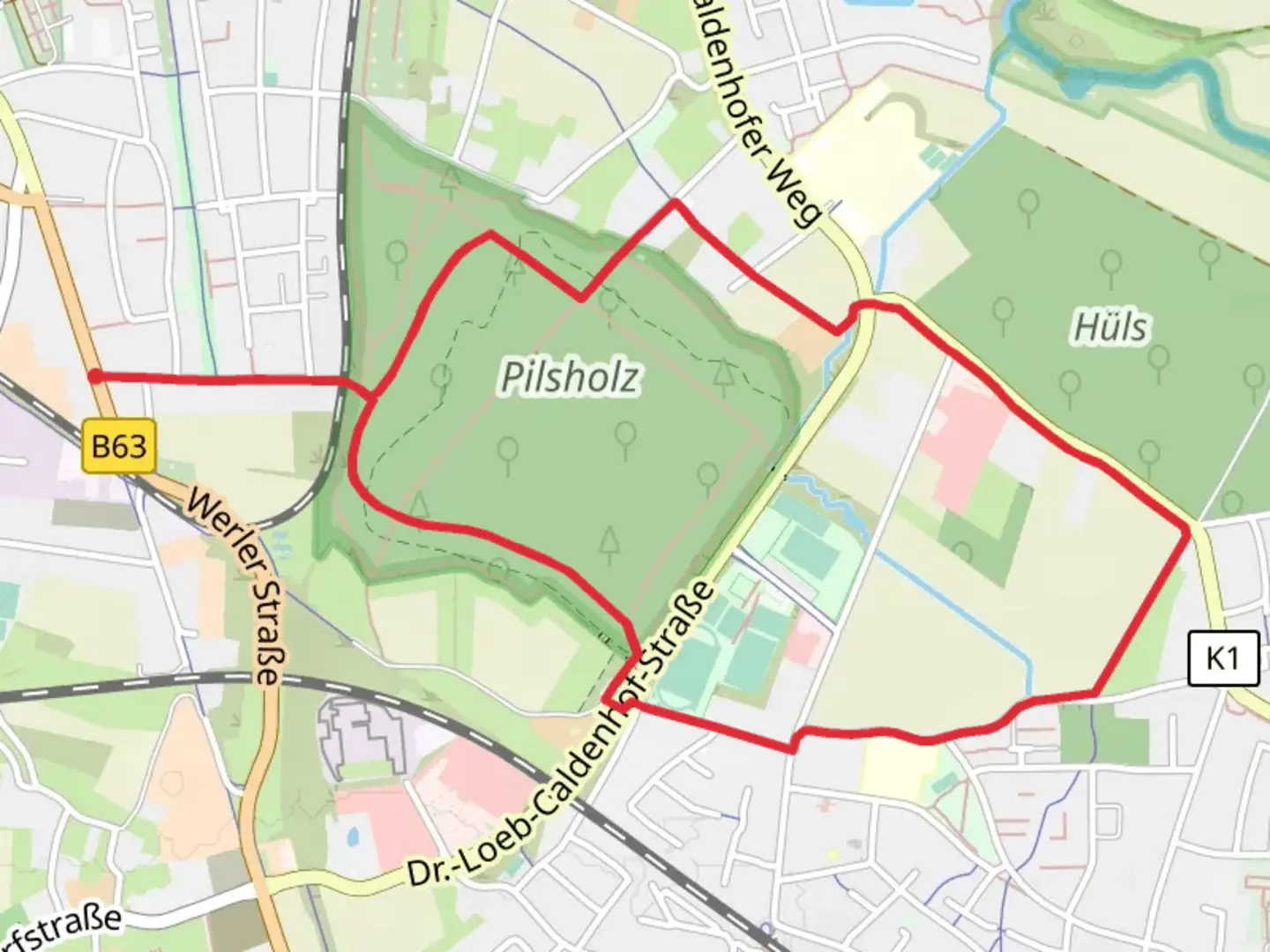 An image depicting the trail Pilsholz Loop and its surrounding area.