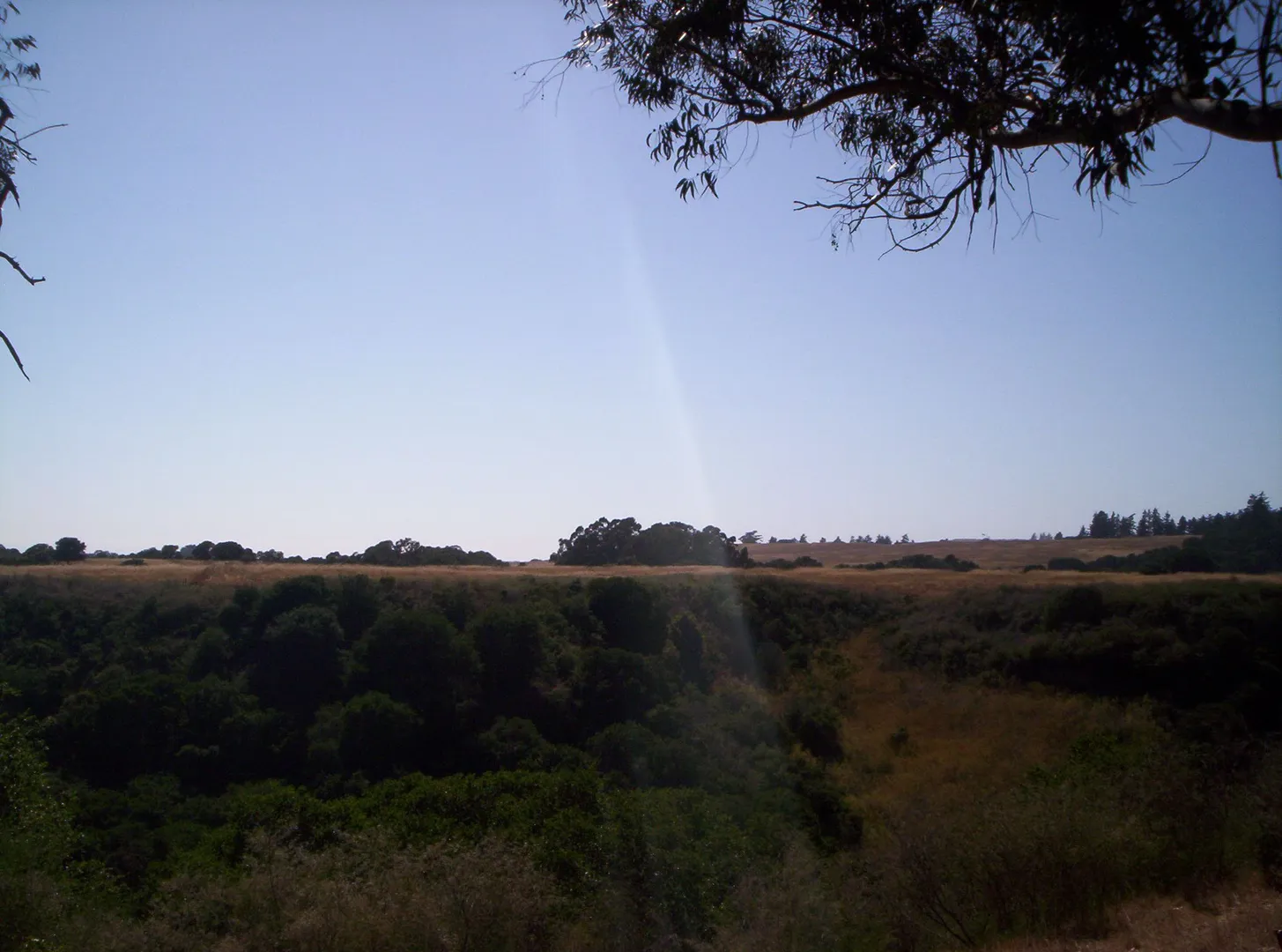 An image depicting the trail Cowboy, Engelsman, Enchanted and Wilder Ridge Loop Trail and its surrounding area.