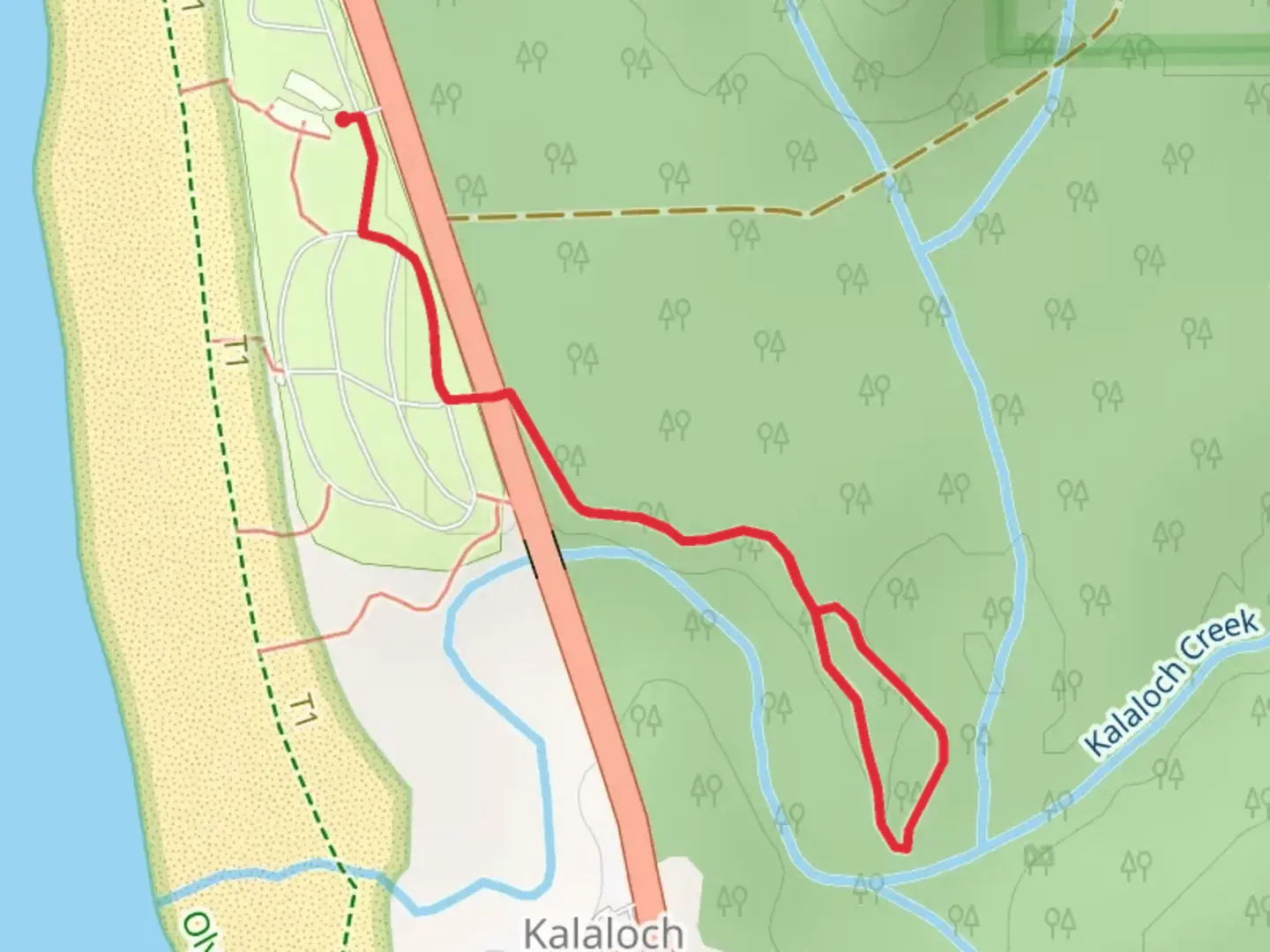An image depicting the trail Kalaloch Creek Nature Trail and its surrounding area.