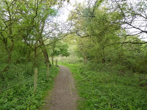 An image depicting the trail Glapthorn Cow Pastures NR Loop and its surrounding area.