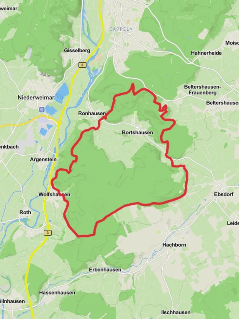 An image depicting the trail Wolfshausen and Bortshausen Loop and its surrounding area.