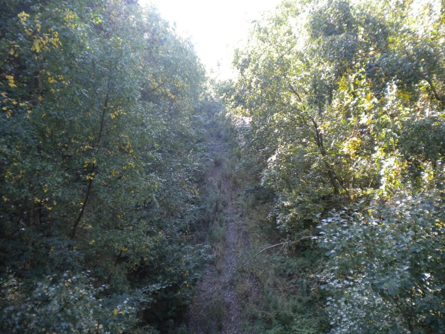 An image depicting the trail Sansom Wood and Blidworth Wood Loop and its surrounding area.