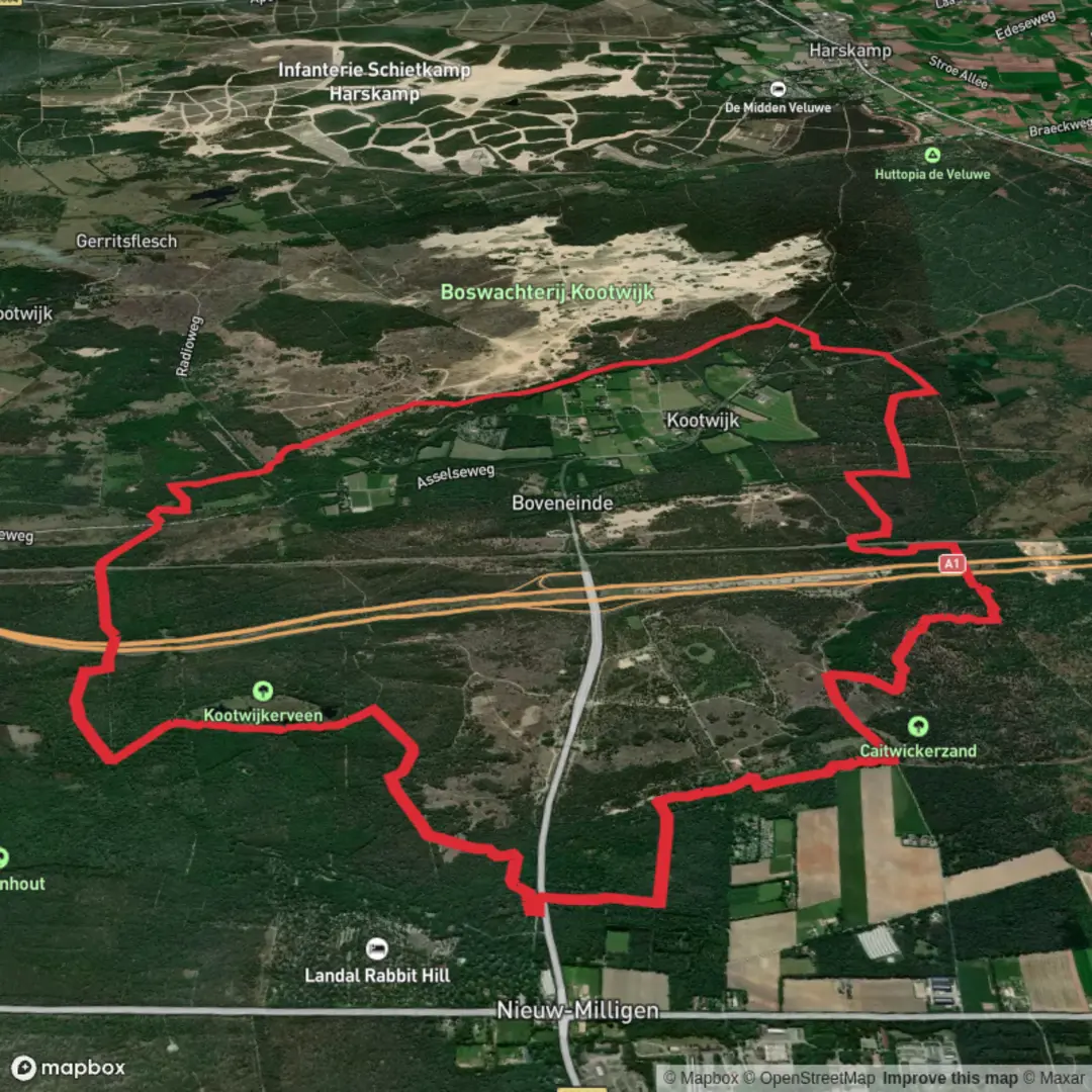 An image depicting the trail Kootwijkerveen, Zanderdennen and Maanschoten Loop and its surrounding area.