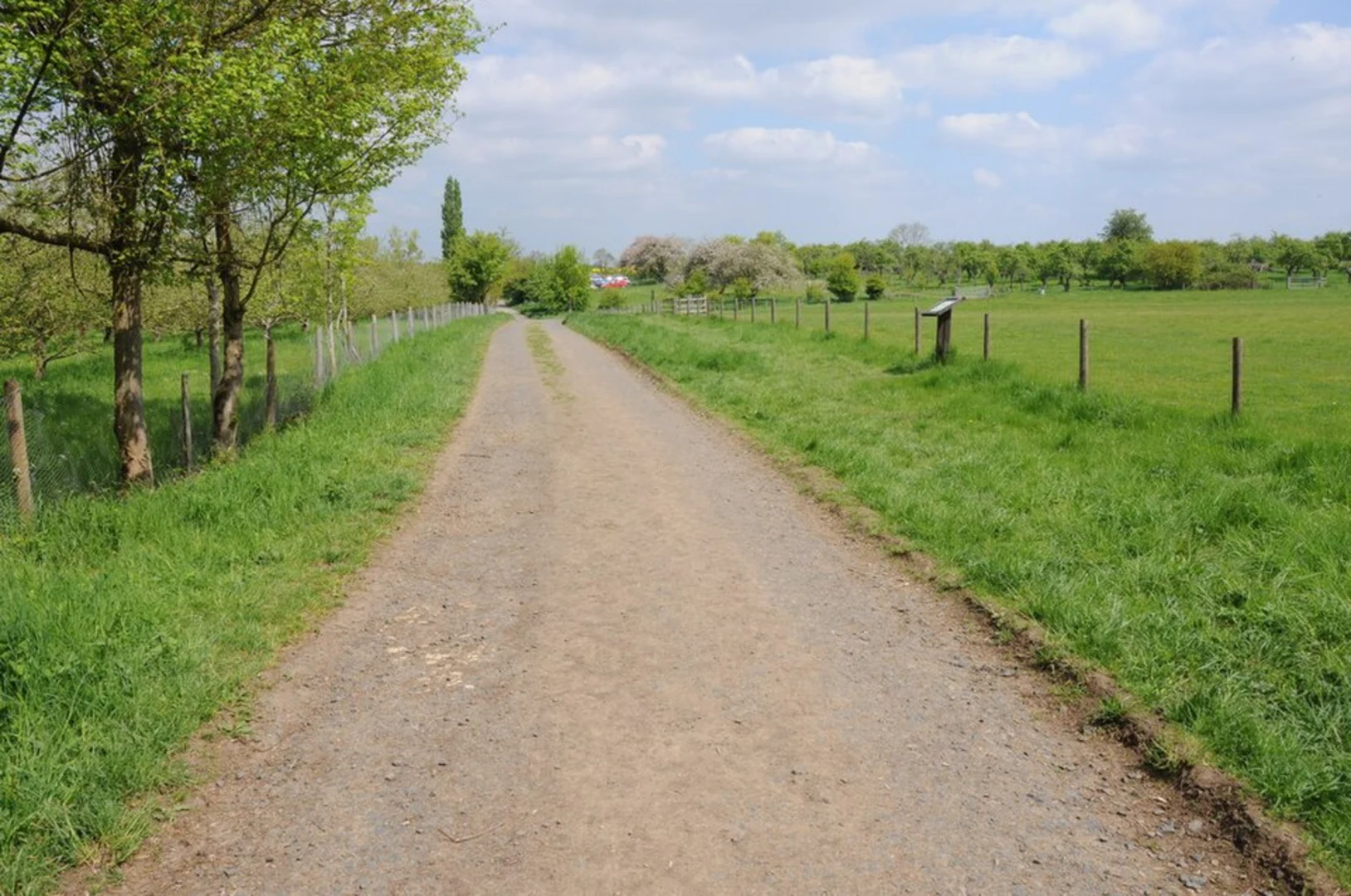 An image depicting the trail Pershore and Besford Loop via Tiddesley Wood and its surrounding area.