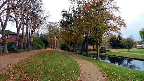 Long Pond and Valentines Park Walk