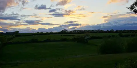 An image depicting the trail Durrow Leafy Loops - Dunmore Woods Loop and its surrounding area.