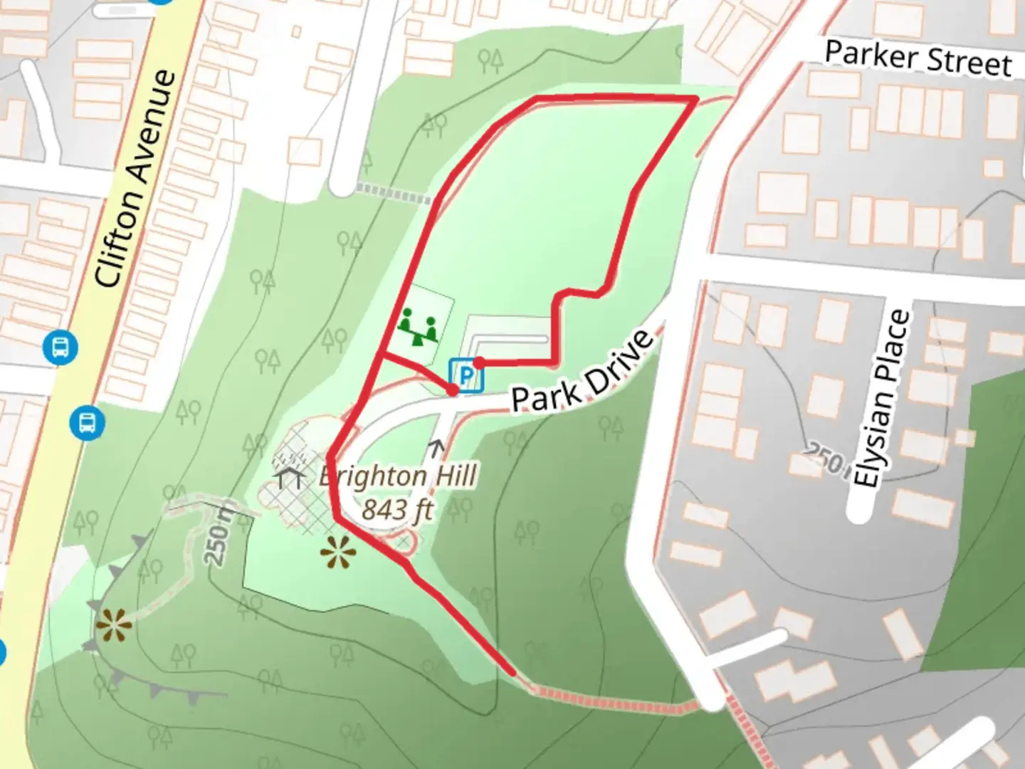 An image depicting the trail Brighton Hill Loop and its surrounding area.