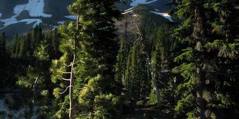 An image depicting the trail Mount Jefferson Wilderness Traverse and its surrounding area.