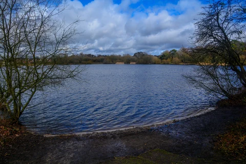 An image depicting the trail Heath Pond and Petersfield Heath Loop and its surrounding area.