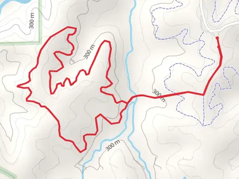 Stevens Forest White Unit Trail