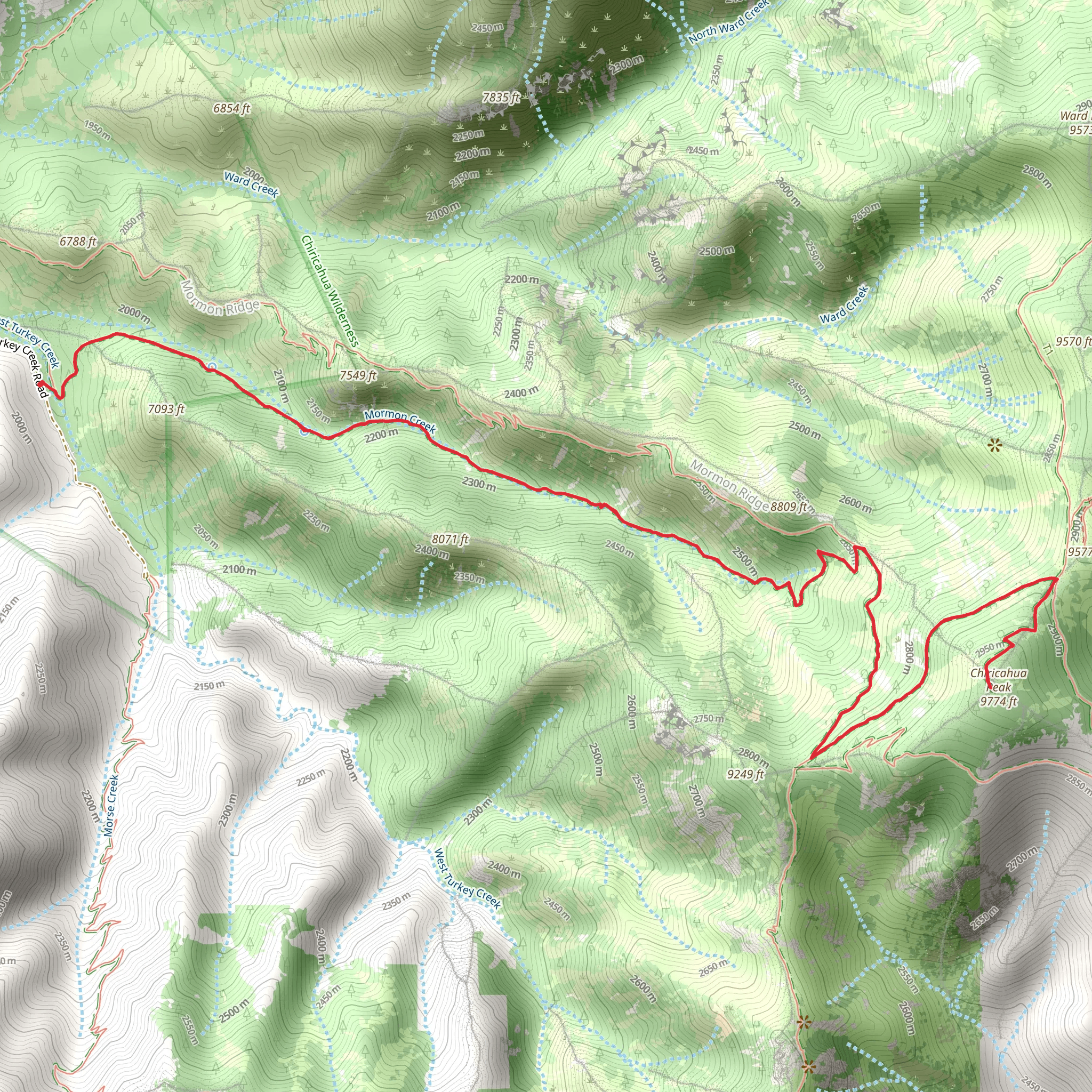 Chiricahua Peak via Mormon Creek Trail mobile static map