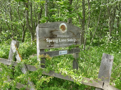 An image depicting the trail Spring Lane Sidings Loop and its surrounding area.