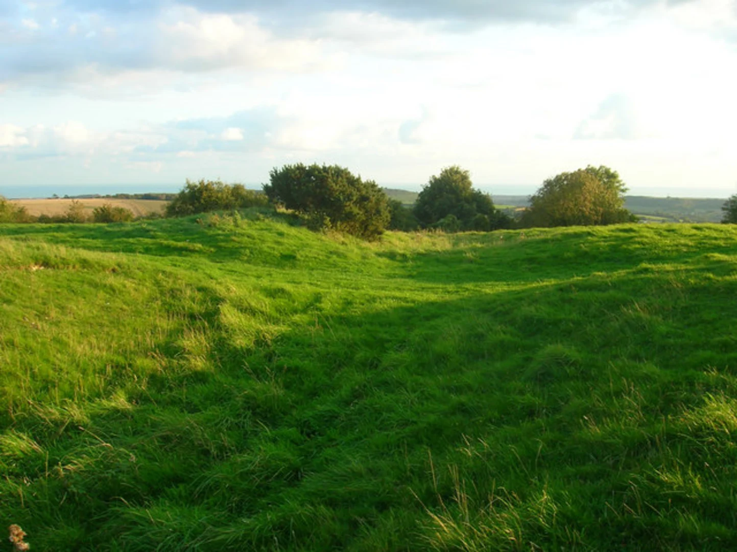An image depicting the trail Findon North Loop and its surrounding area.