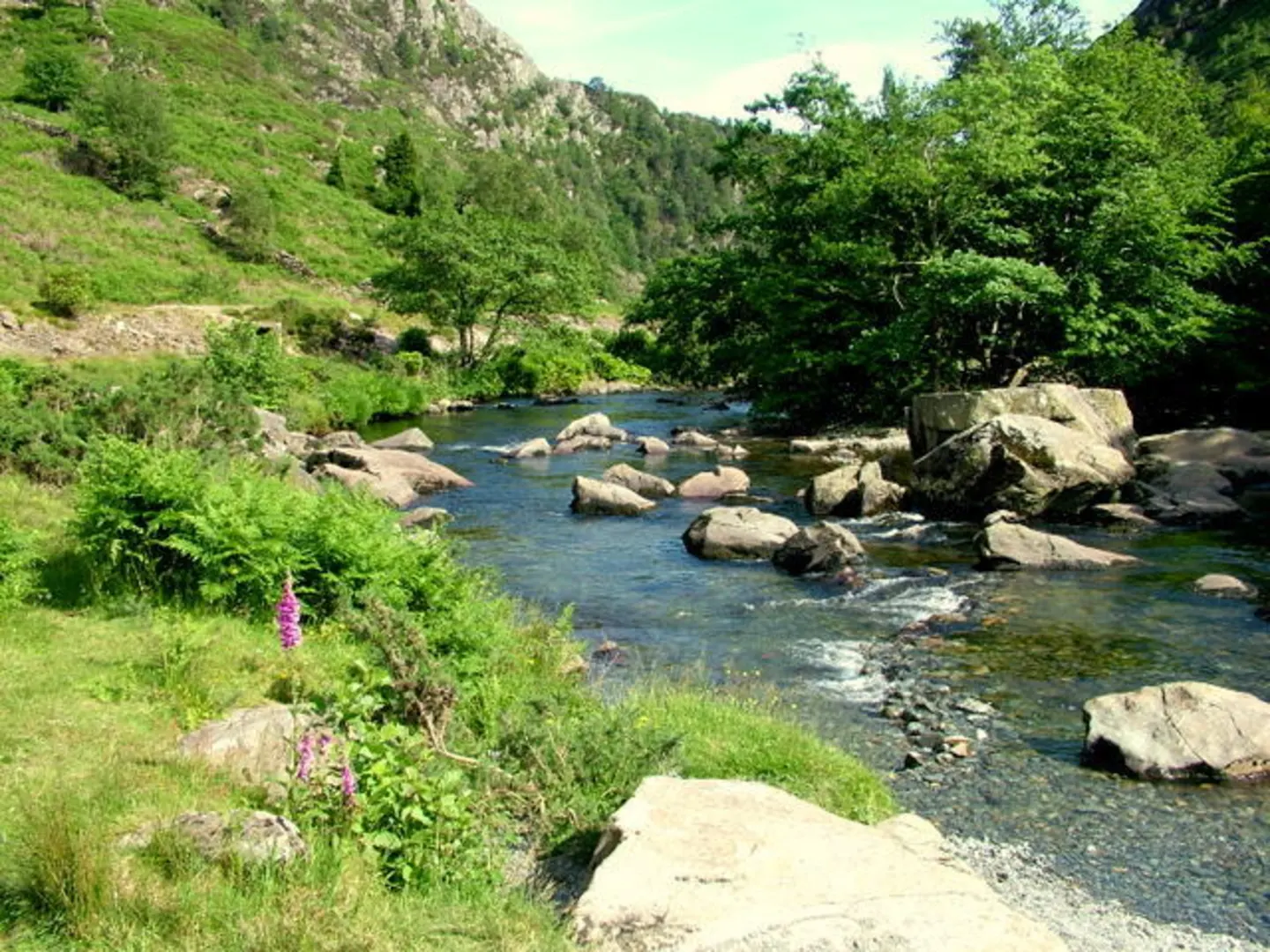 An image depicting the trail Aberglaslyn Pass Beddgelert Walk and its surrounding area.