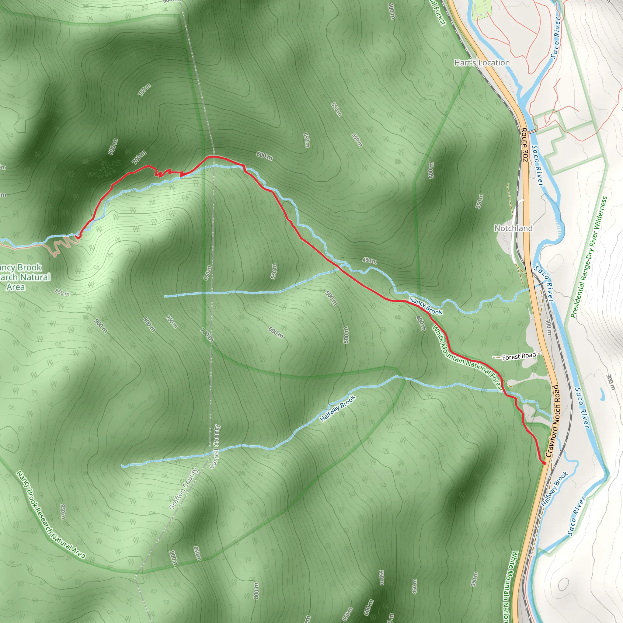 Nancy Brook via Nancy Pond Trail mobile static map