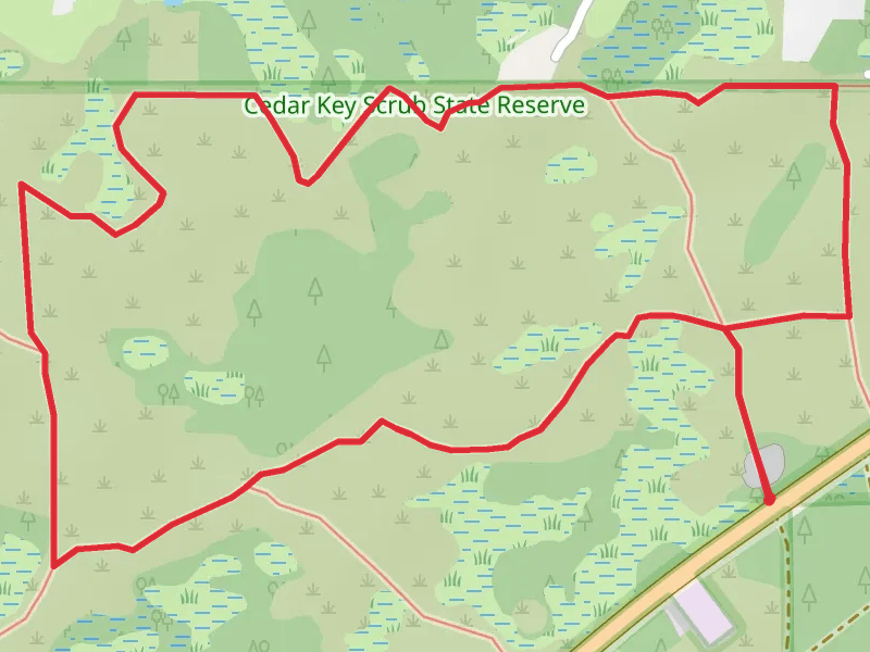 White and Orange Loop