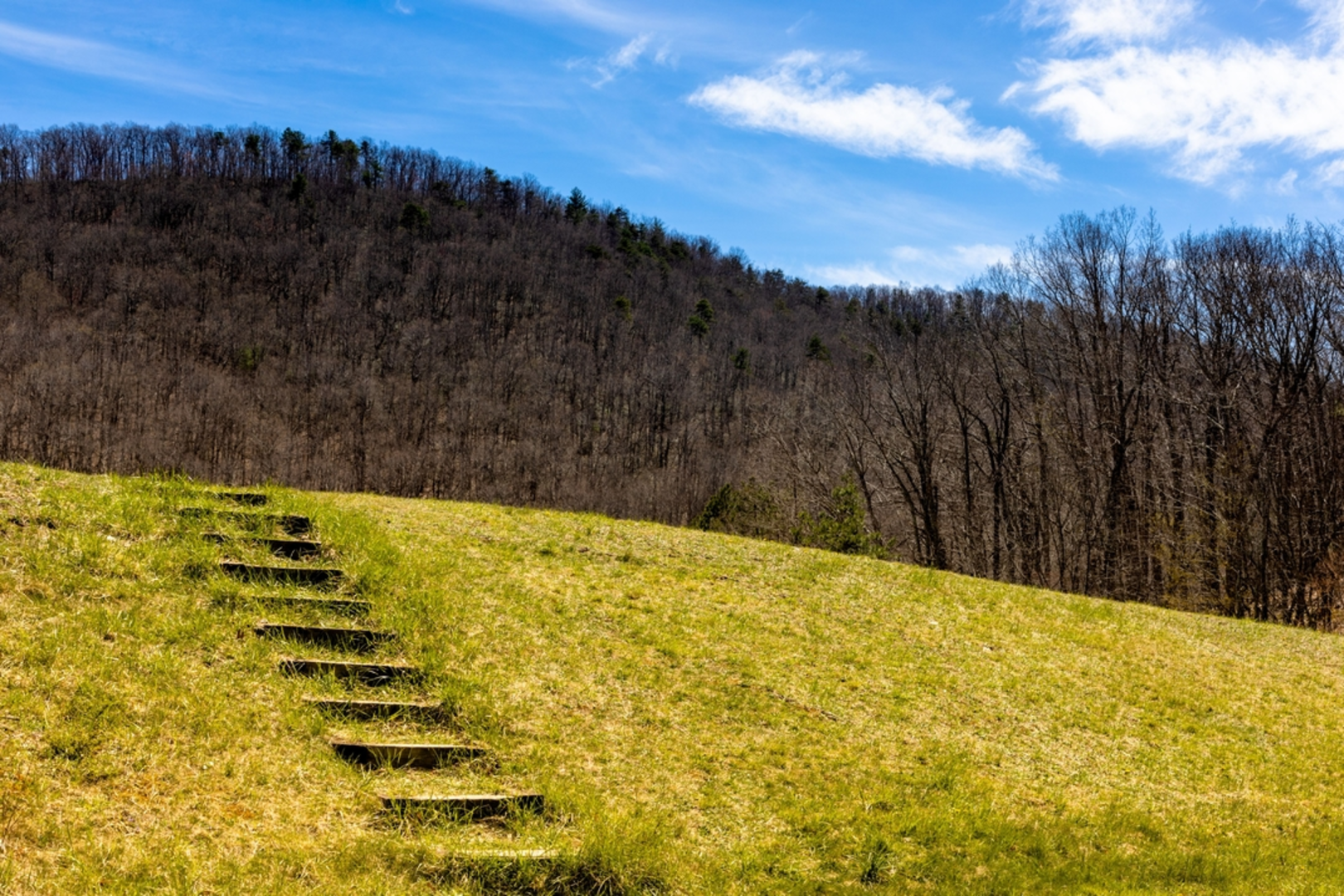 An image depicting the trail Torry Ridge Trail and its surrounding area.