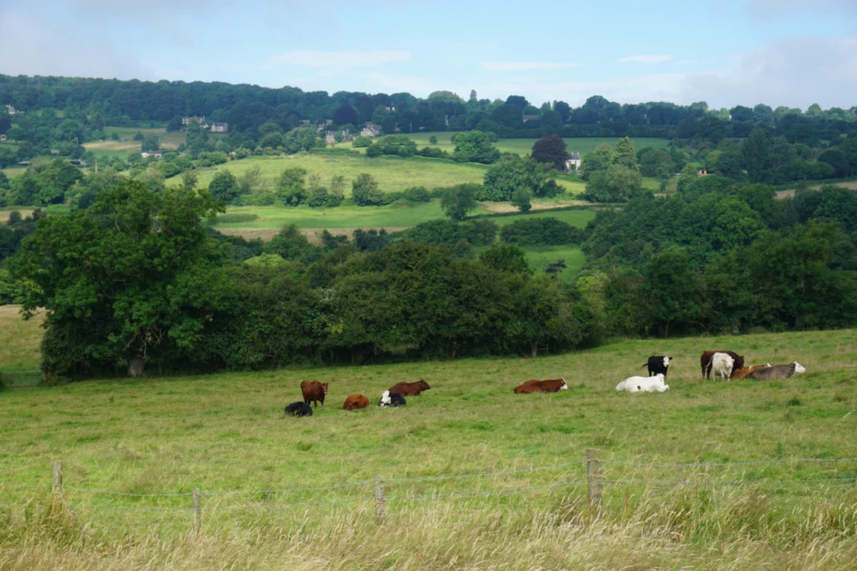 Circular Walk along the Painswick Stream