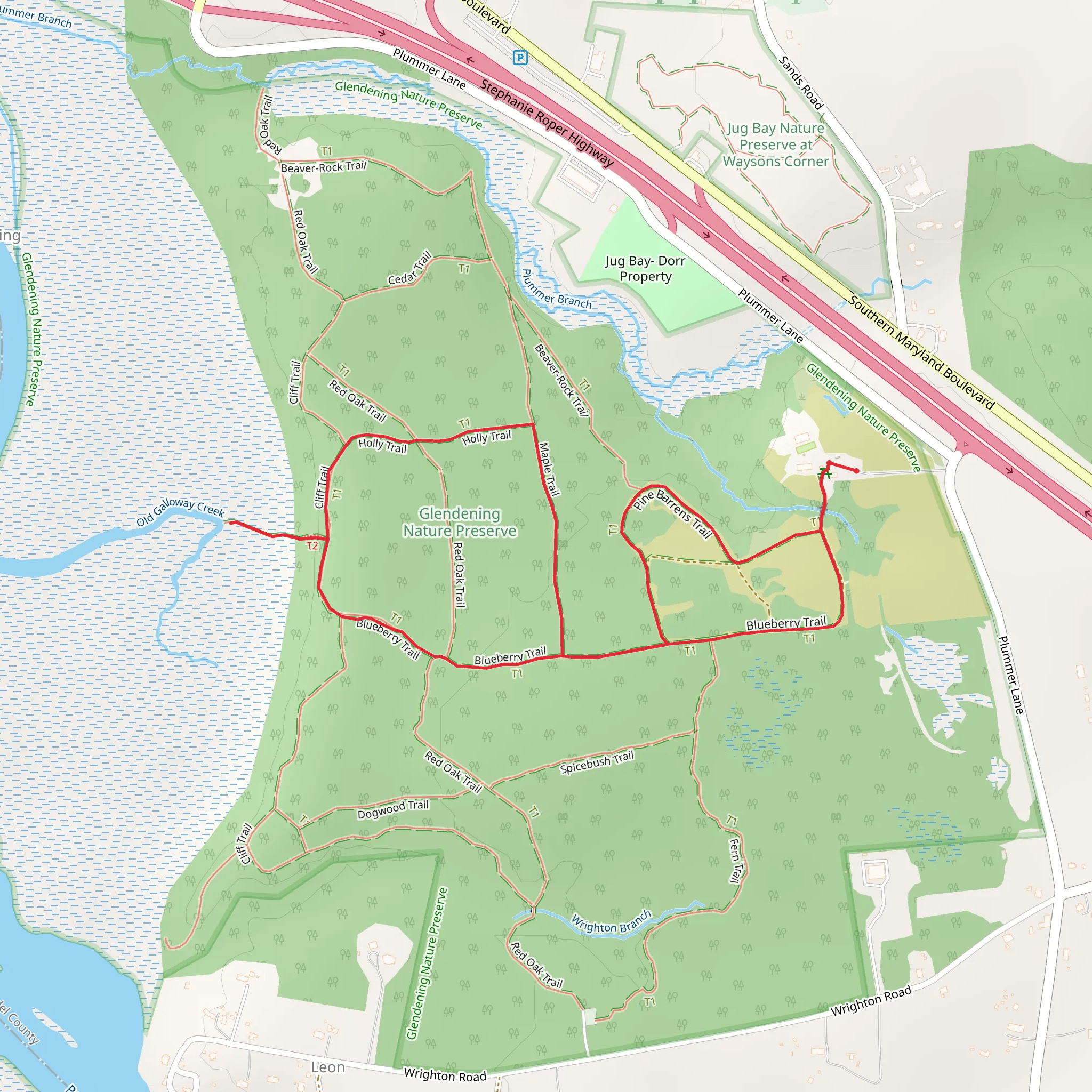 Pine Barrens Trail, Blueberry Trail and Chris Swarth Boardwalk Loop mobile static map
