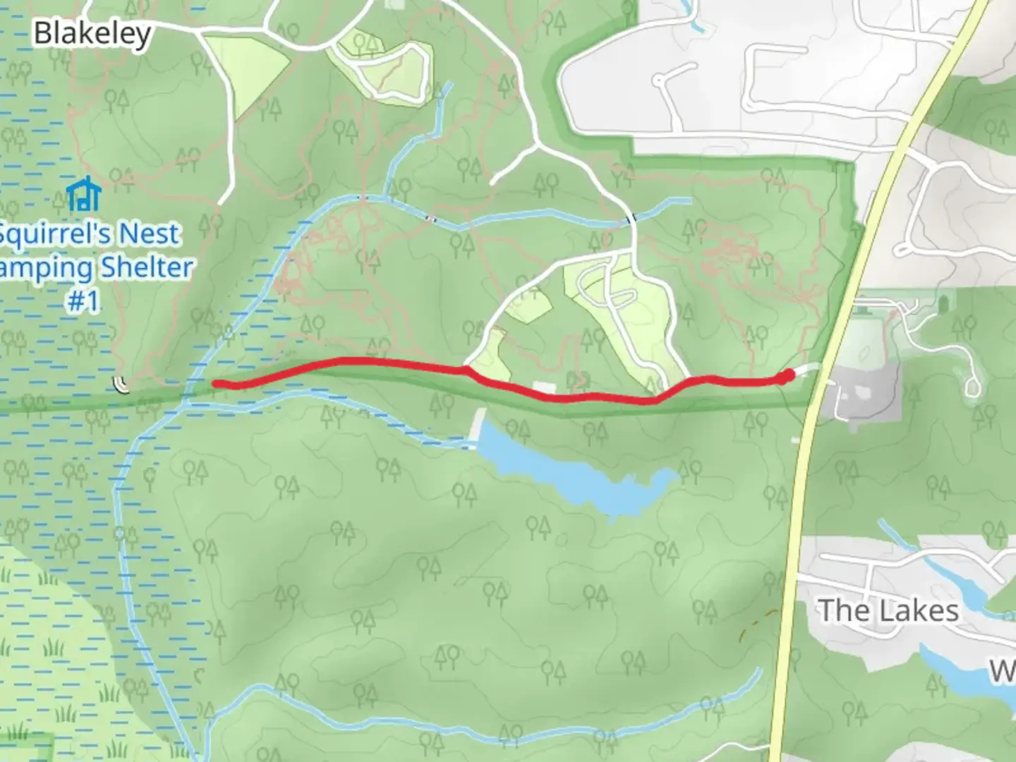 An image depicting the trail Boggy Branch and its surrounding area.