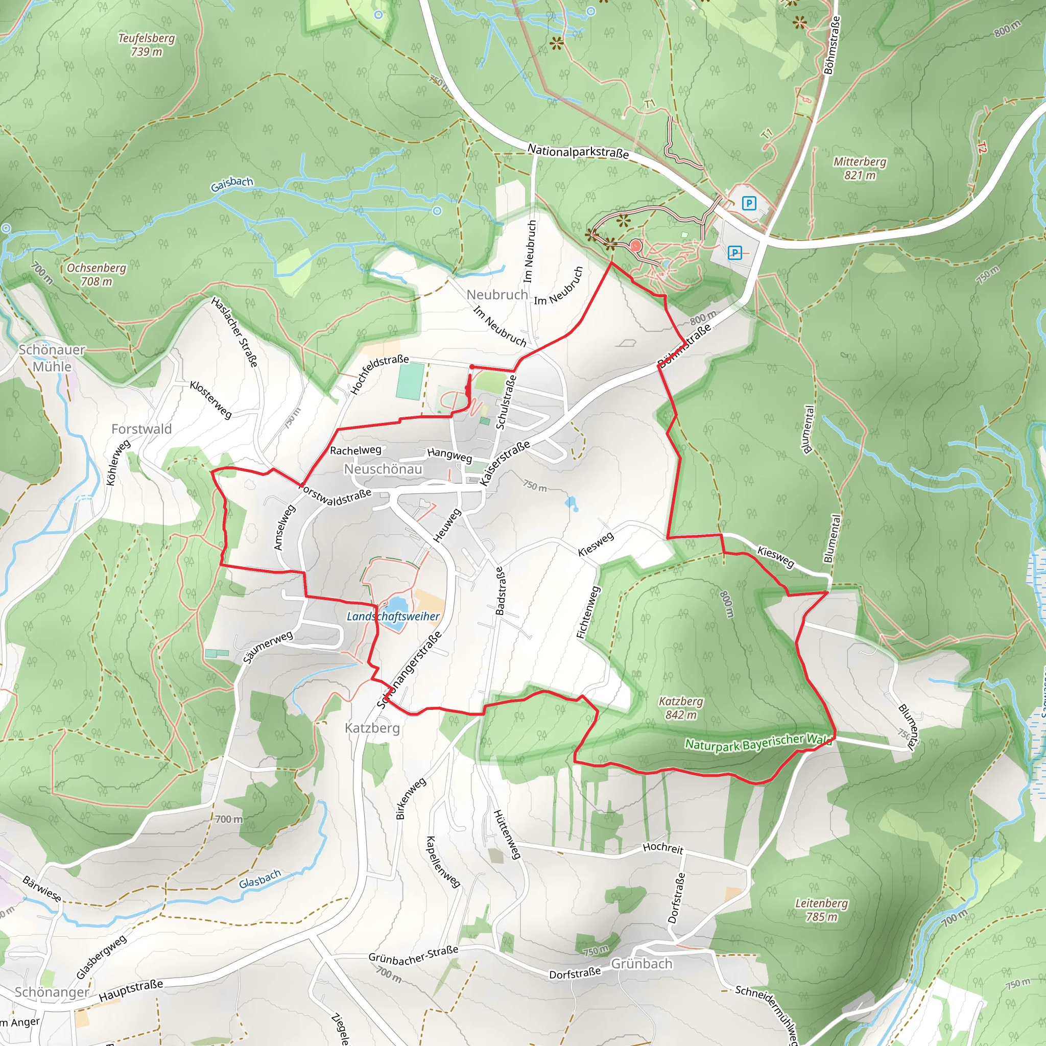 Haustaube mobile static map