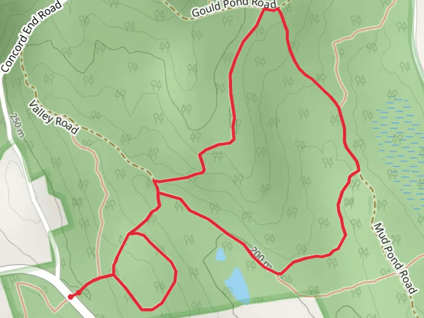 An image depicting the trail Gould Pond Loop Trail and its surrounding area.