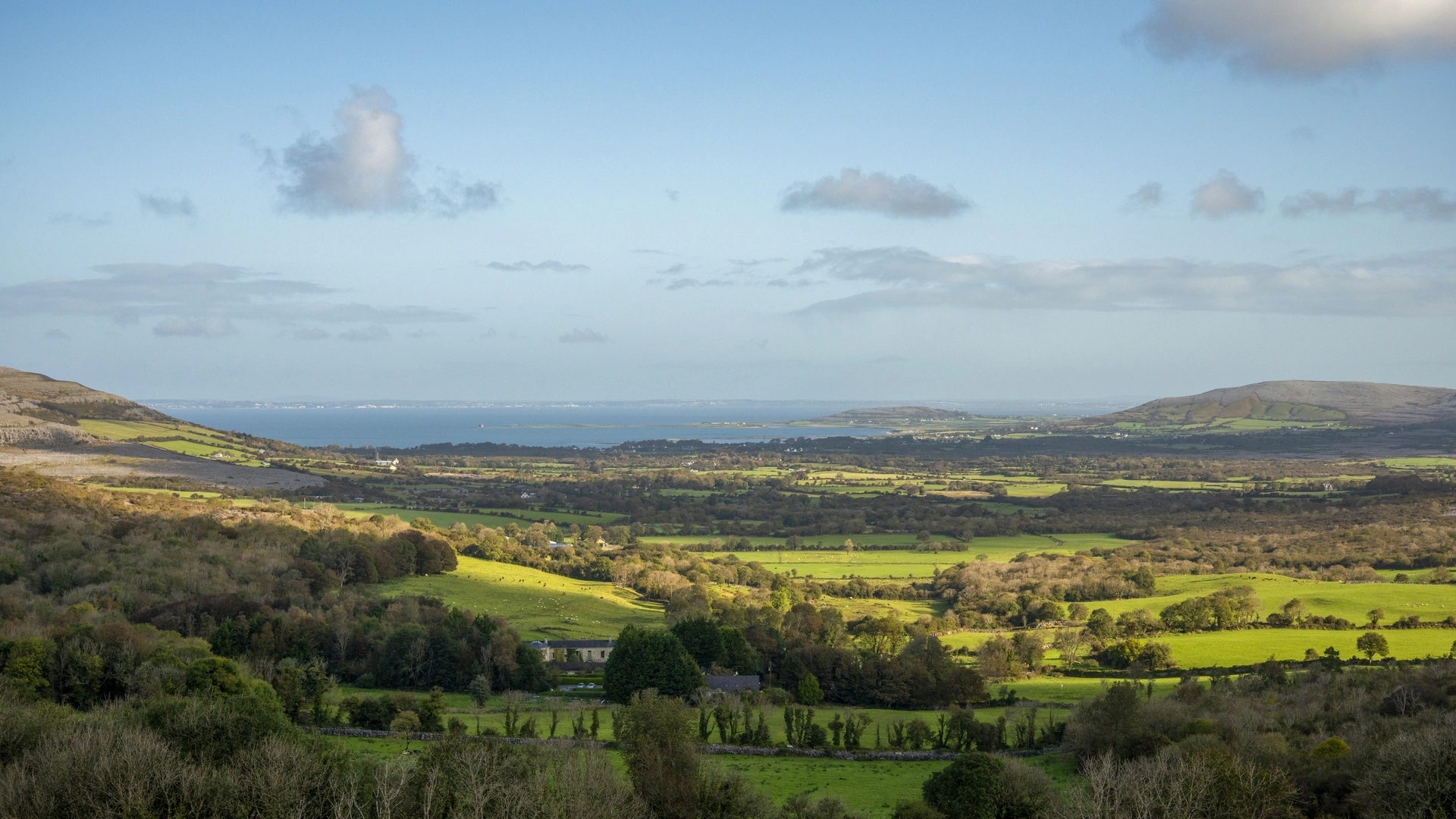 An image depicting the trail Knockanuarha Loop and its surrounding area.
