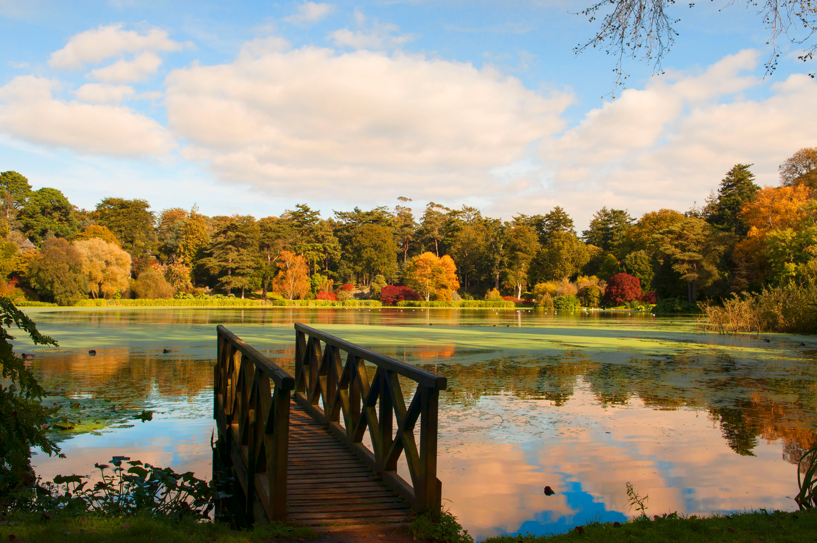 An image depicting the trail Mount Stewart – Blue Trail and its surrounding area.