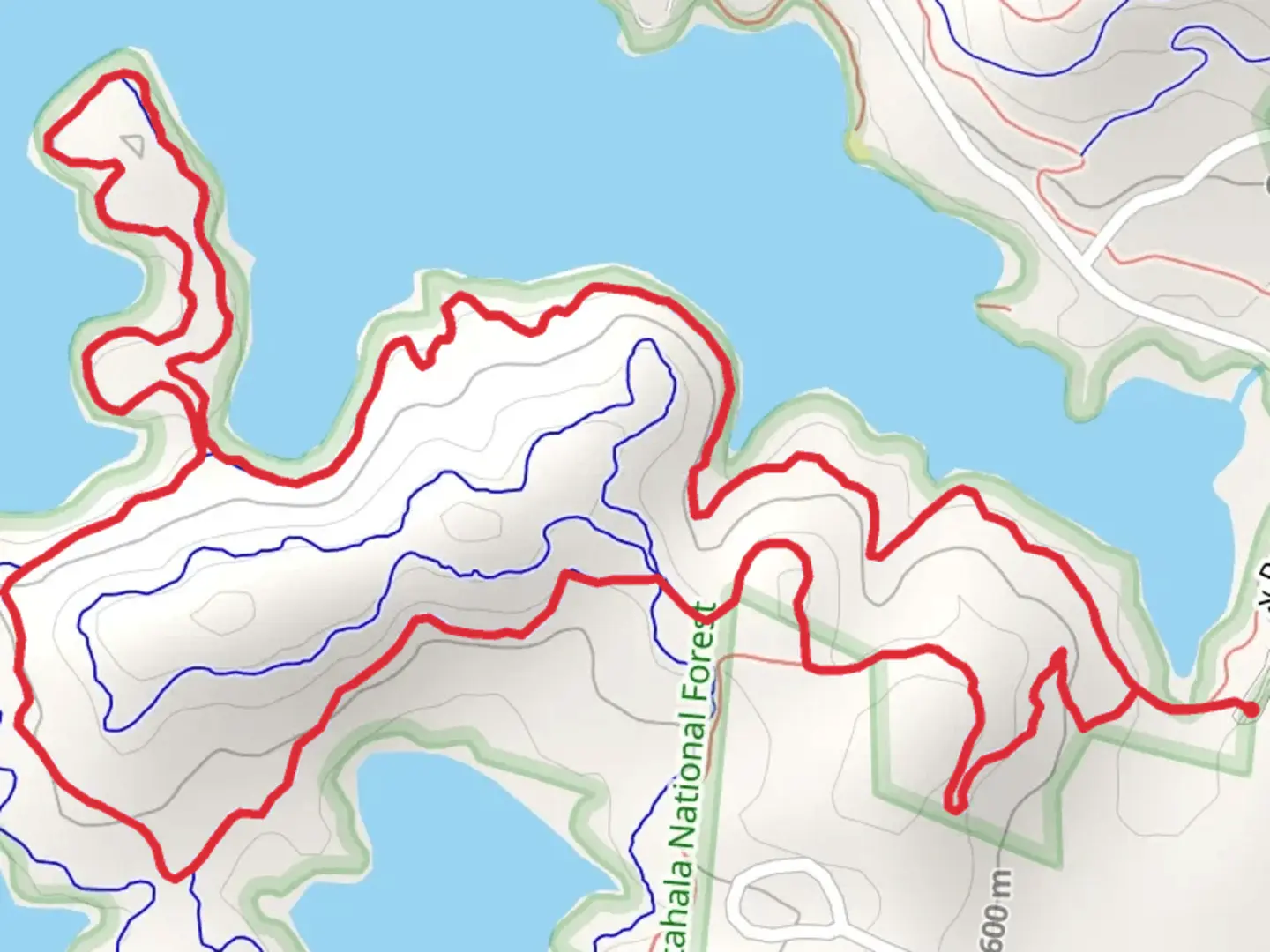 An image depicting the trail Burnt Tree Peninsula - Central Loop and its surrounding area.