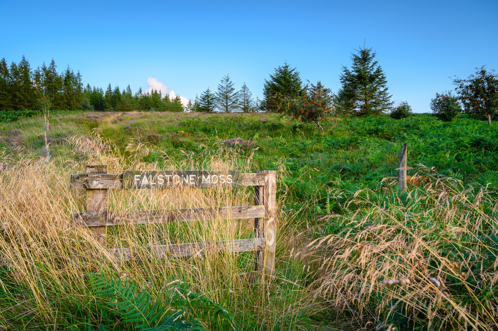An image depicting the trail Falstone Circular Walk and its surrounding area.