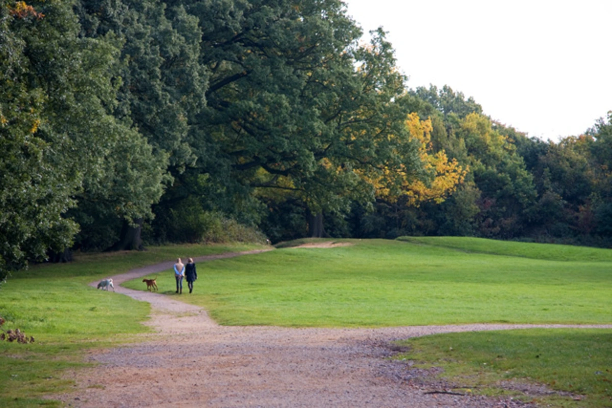 Hampstead Heath Loop