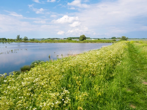 Tiengemeten Loop via Vliedberg and Ruine Aardappelloods