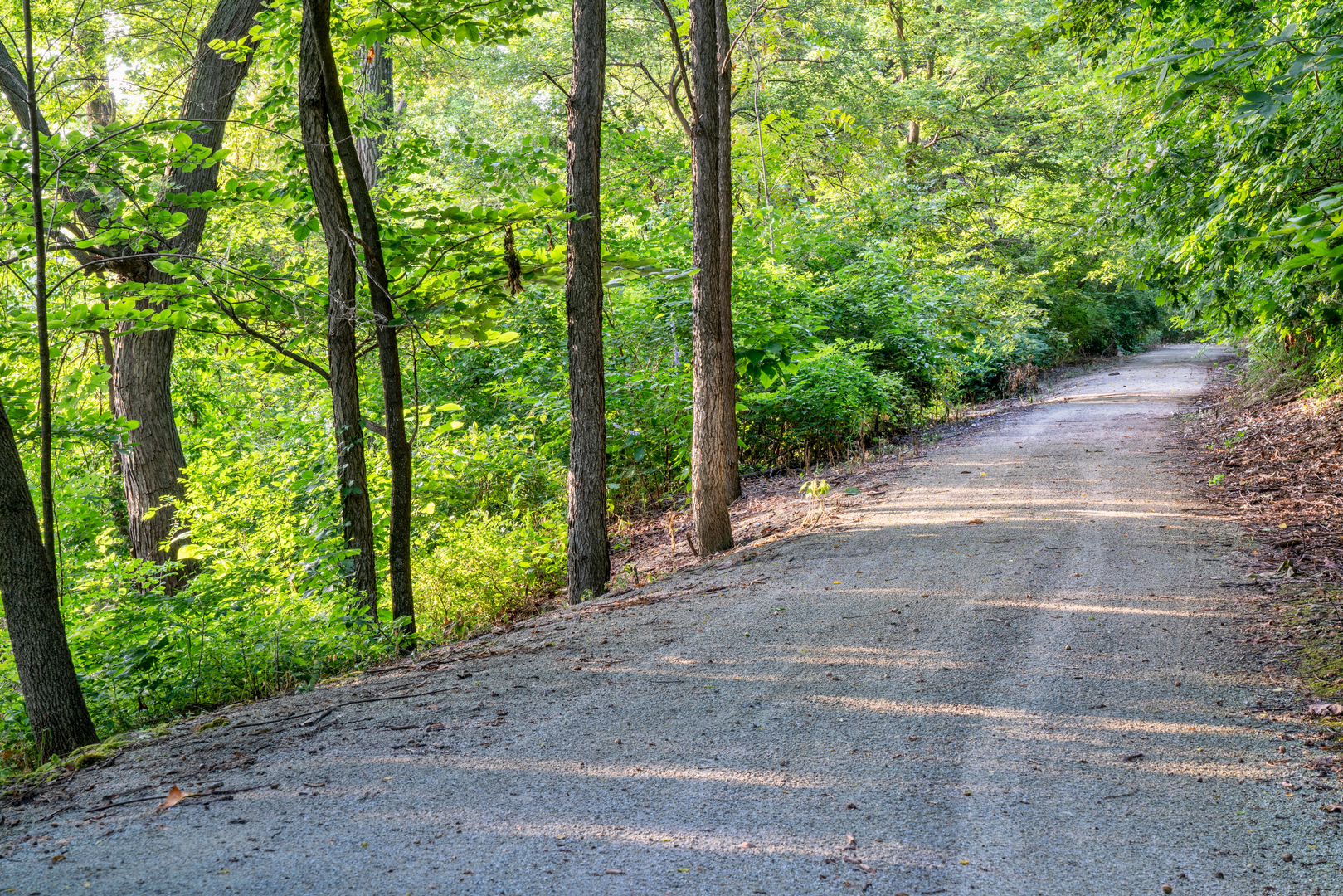 An image depicting the trail Steamboat Trace Trail and its surrounding area.