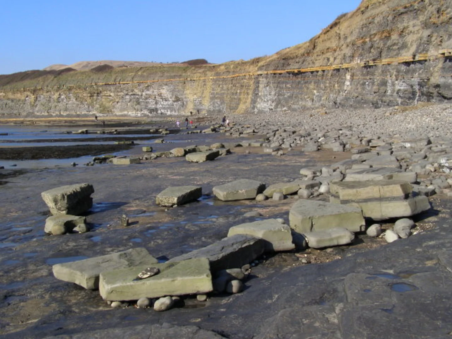 An image depicting the trail Washing Ledge and Tyneham Gwyle Walk and its surrounding area.