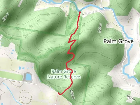 Great North Walk – Palm Grove Nature Reserve