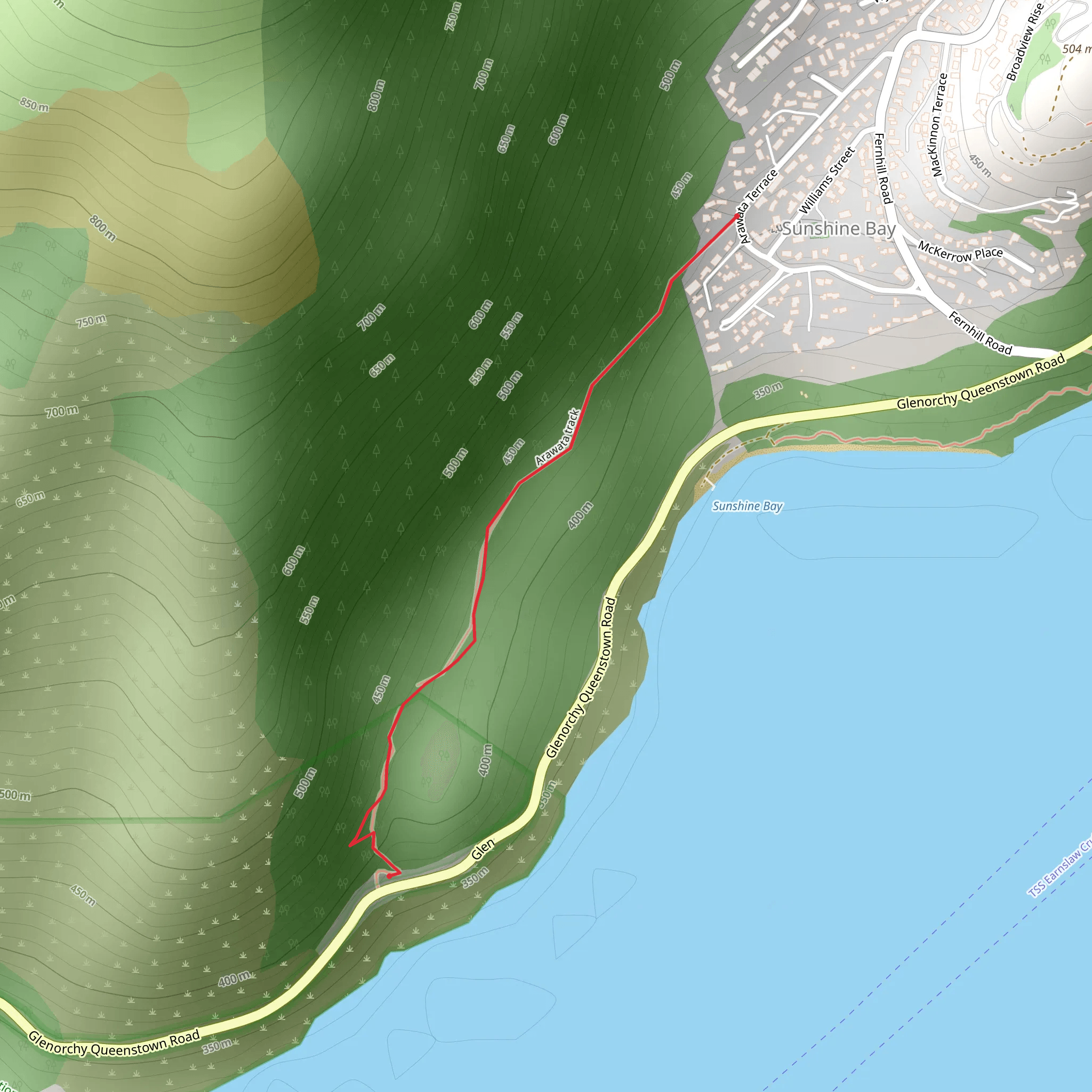 Arawata Bridle Track mobile static map