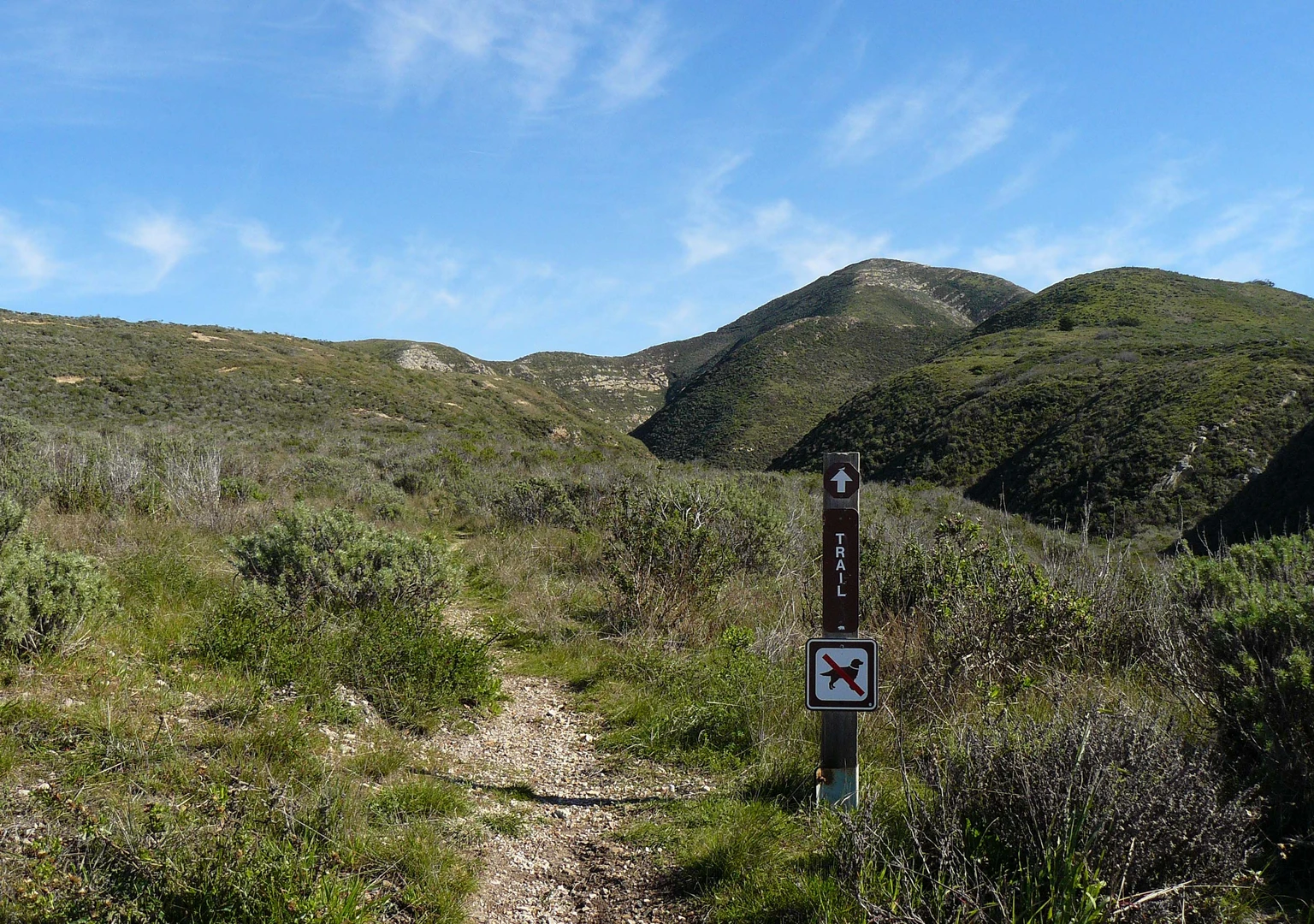 An image depicting the trail Valencia Peak via Bluff Trail and Badger Trail and its surrounding area.