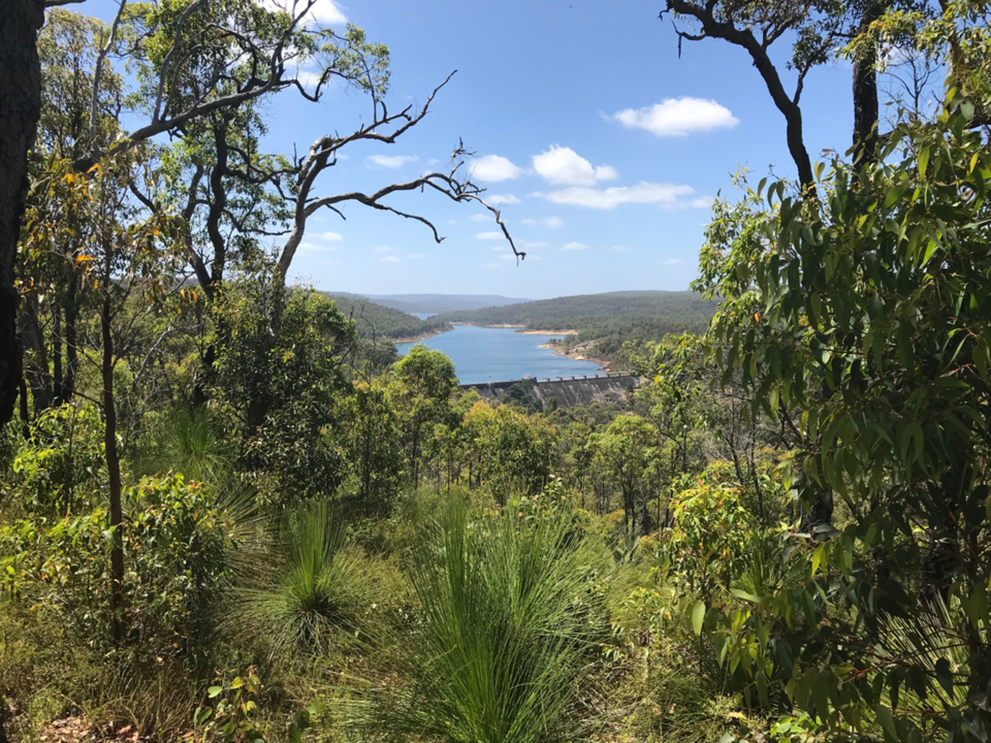 An image depicting the trail Dell to South Ledge Circuit Track and its surrounding area.