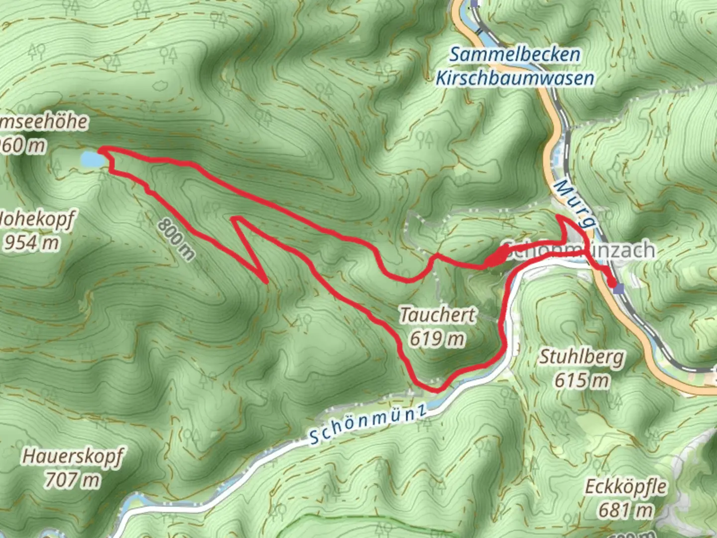 An image depicting the trail Schurmsee Loop via Schifferstraße and its surrounding area.