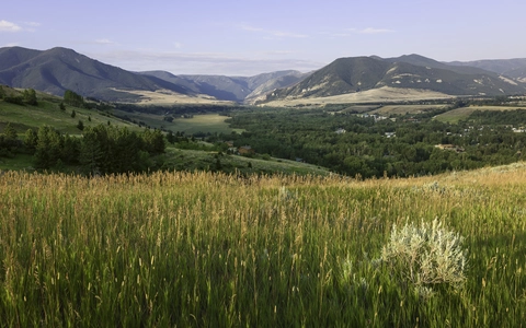 An image depicting the trail Palisades Trail and its surrounding area.