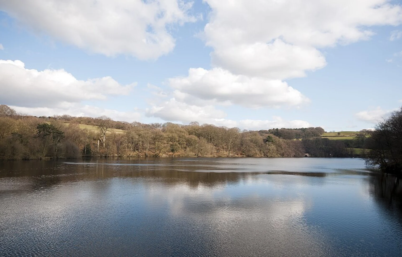 An image depicting the trail Knypersley Reservoir Loop and its surrounding area.