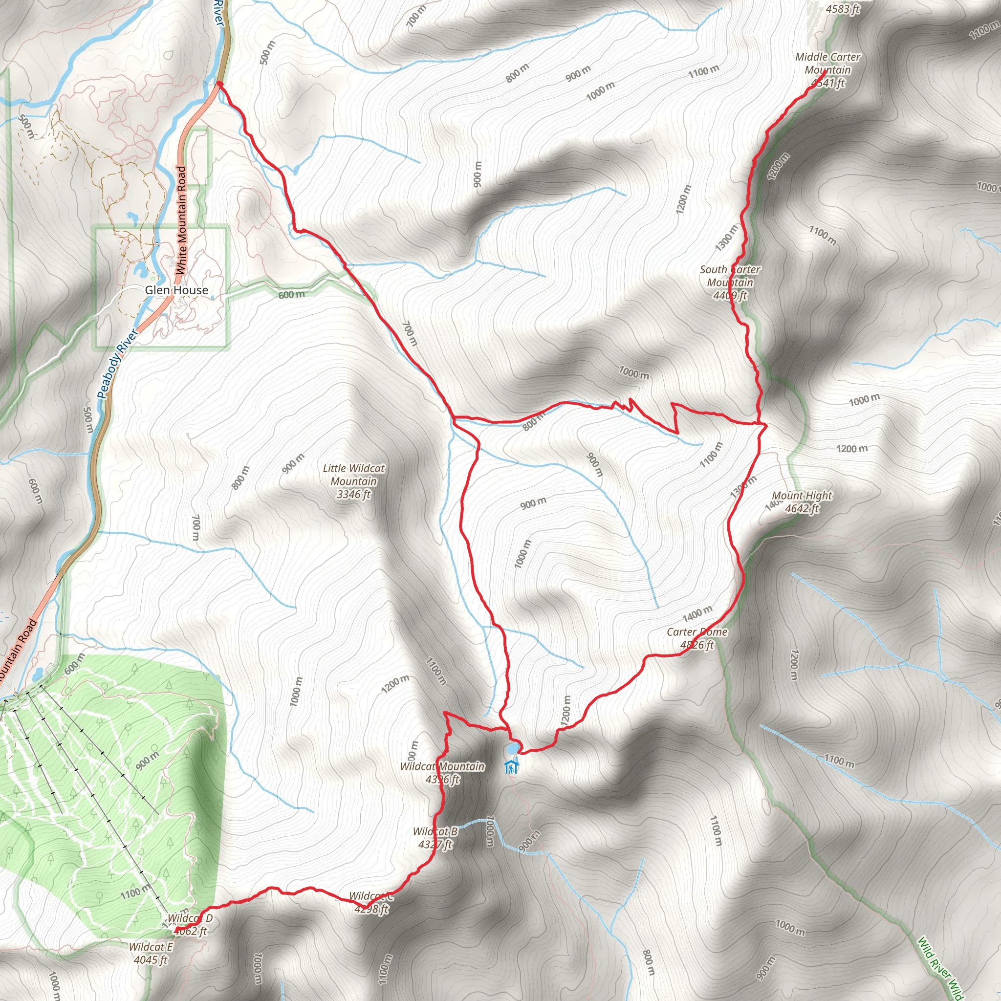 Carter Dome, wildcat Mountain via Nineteen Mile Brook Trail mobile static map