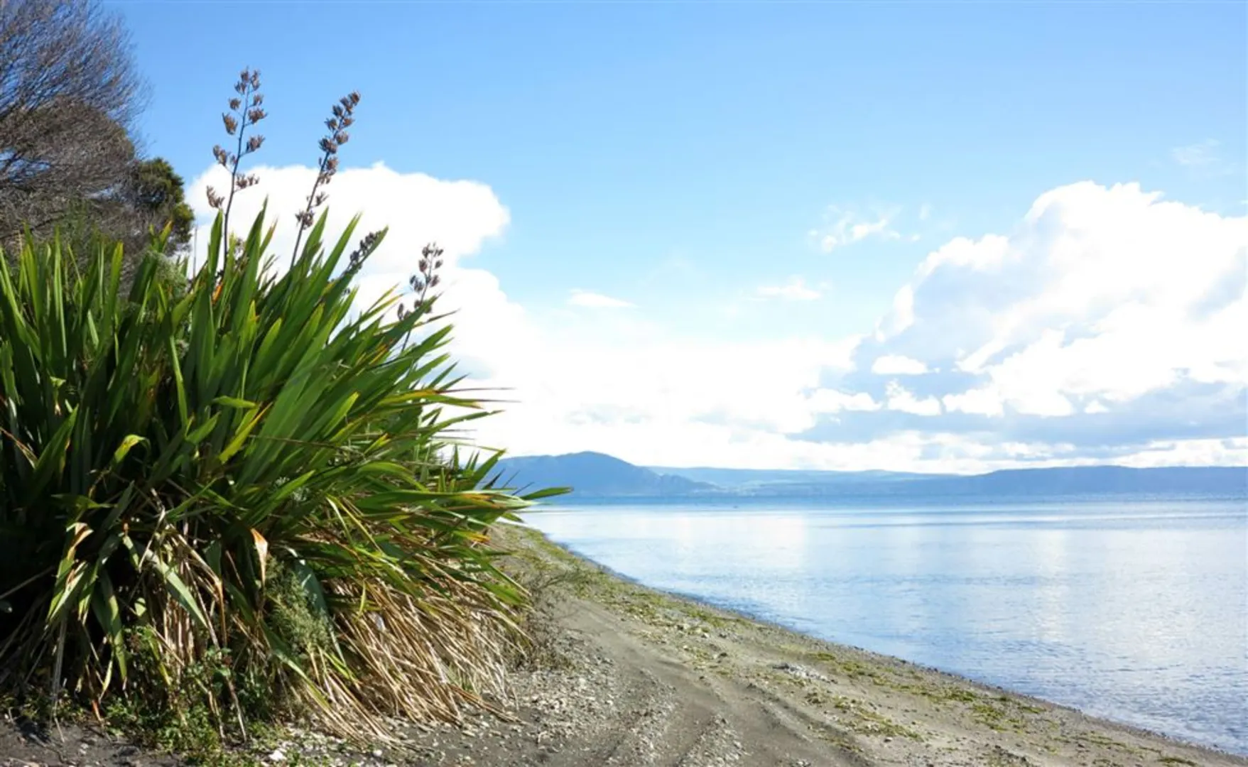 An image depicting the trail Oruatua Walk and its surrounding area.