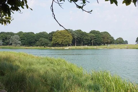 An image depicting the trail Tatton Park National Trust Loop and its surrounding area.
