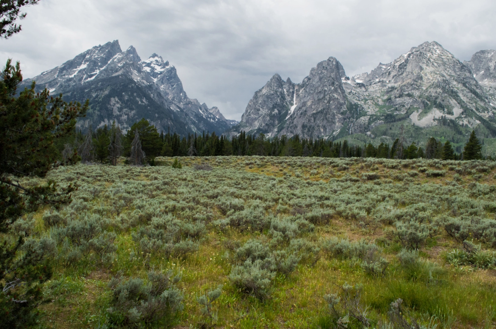 An image depicting the trail Doris Creek Trail and its surrounding area.