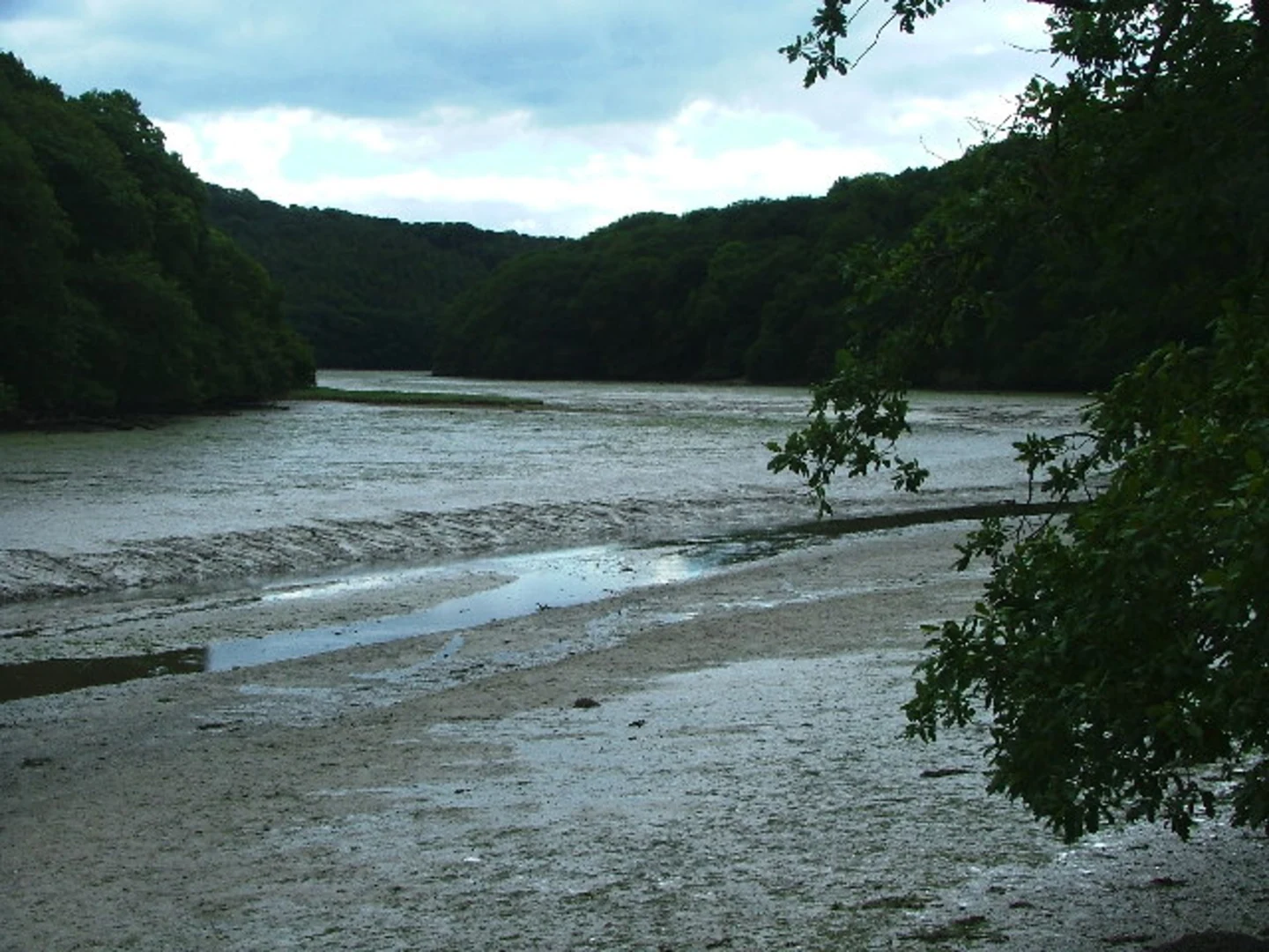 An image depicting the trail Wembury Woods Walk and its surrounding area.