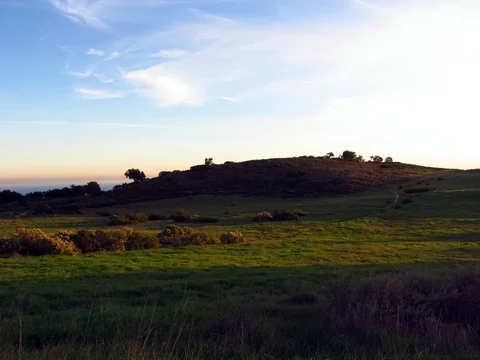 An image depicting the trail Carmichael Road Trail and its surrounding area.