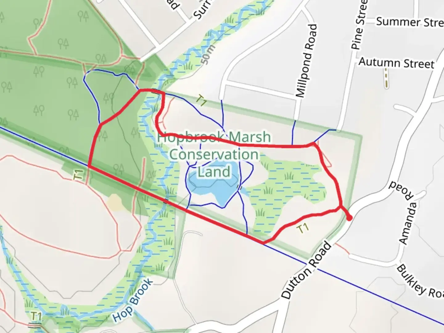 An image depicting the trail Duck Pond via Old Pine and Marsh to Desert Trail and its surrounding area.